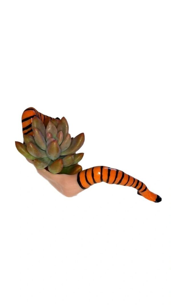 A tiger tail holding a plant in it's hand.