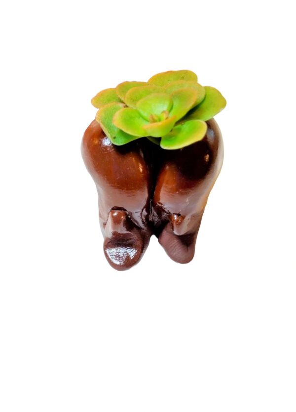 A chocolate tooth with a plant in it