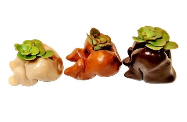 Three different colored chocolate candies are lined up.
