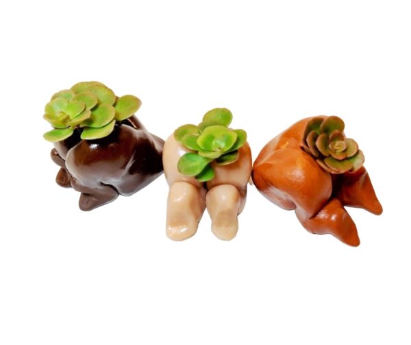 Three small ceramic animal planters with plants in them.