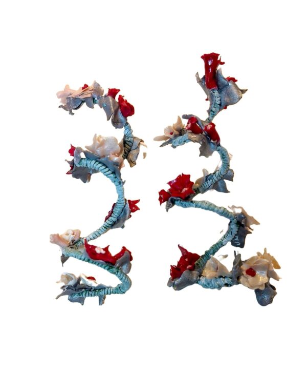 A number of red and blue flowers on a white background