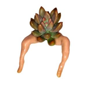 A plant with a head and hands.