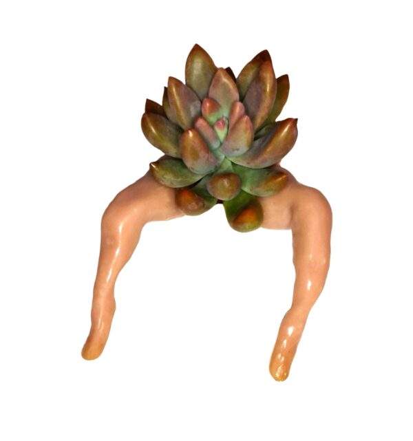 A plant with a head and hands.