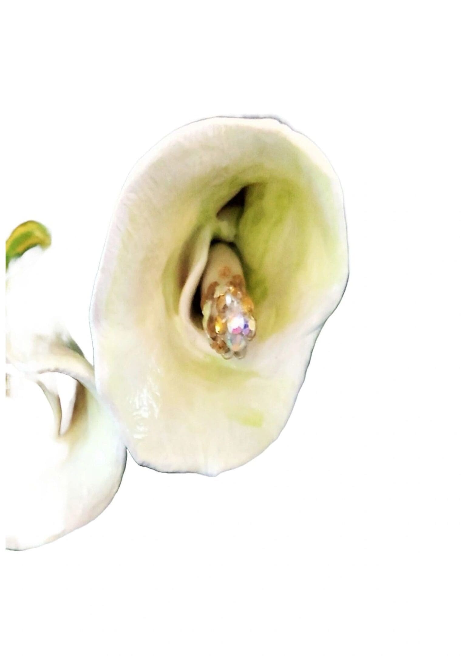 A close up of the inside of an arum lily