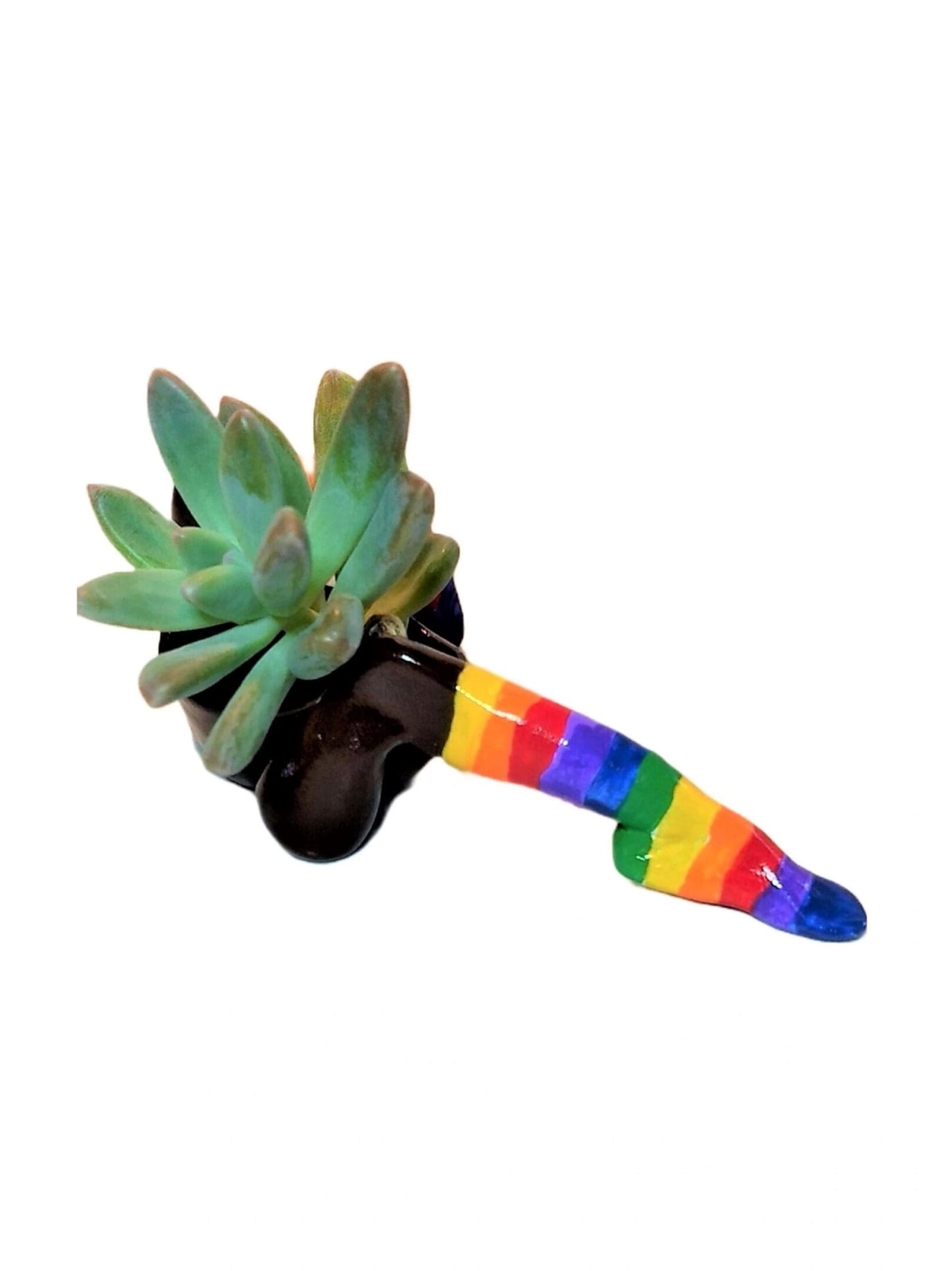 A plant with a rainbow colored stem in it.