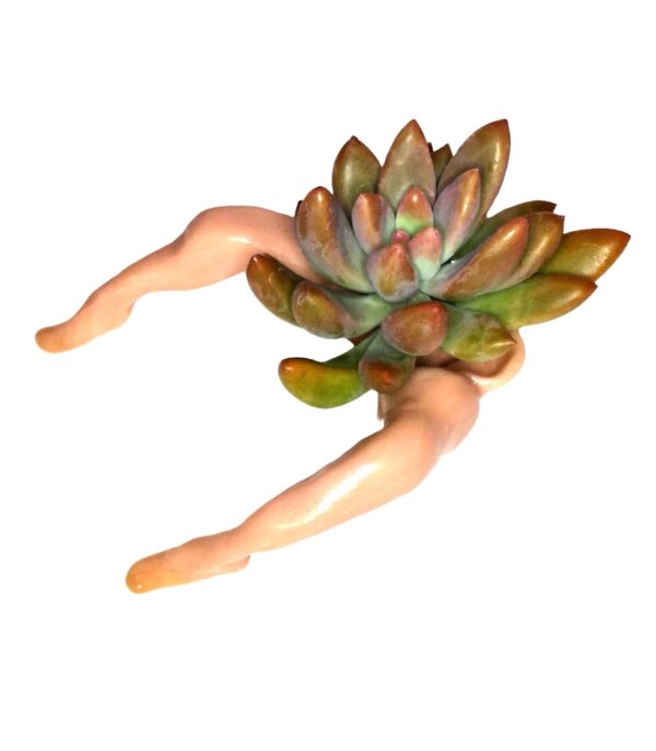 A plant with a flower in it's hand.