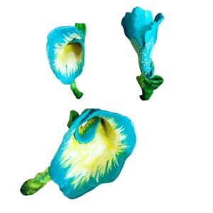 Blue and yellow abstract flower sculptures.