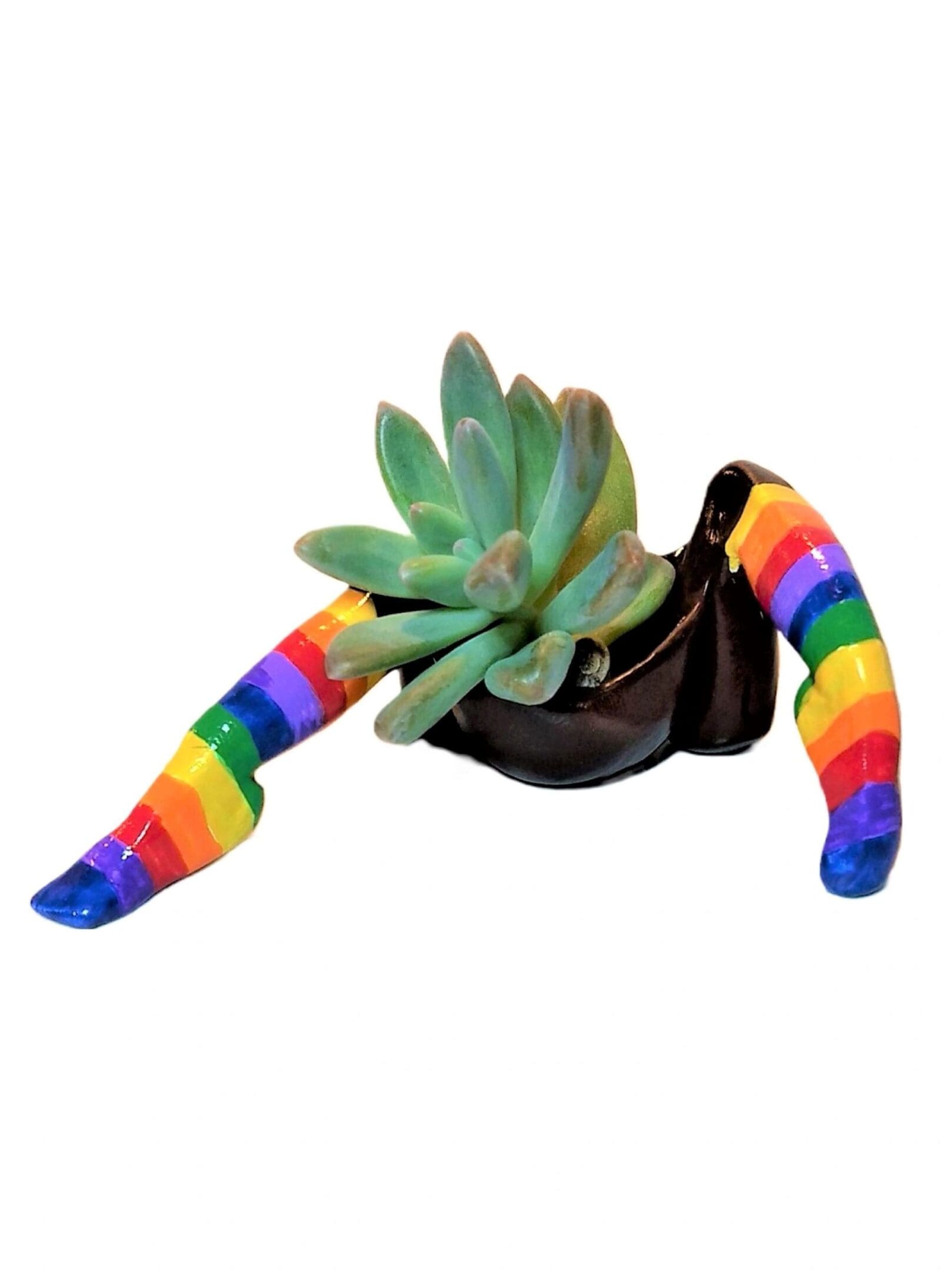 A plant with rainbow colored arms is sitting on top of a black pot.