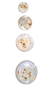 Three different types of food on a plate.