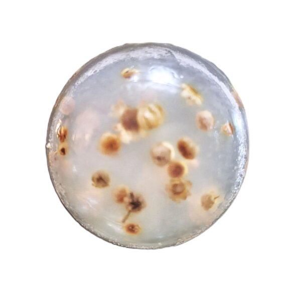 A white ball with some brown spots on it