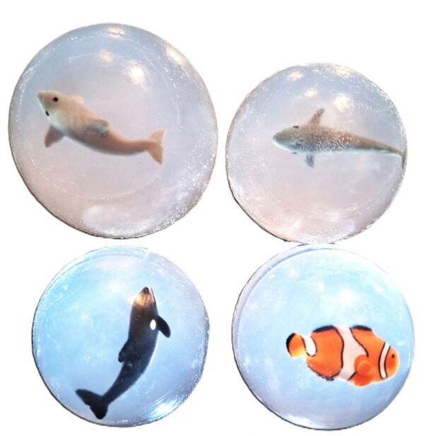 A set of four round magnets with different images on them.