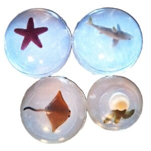 Sea Animal Hand & Bath Soaps Clear Glycerin Set of 4 Vegan, Unscented, Gluten-Free.