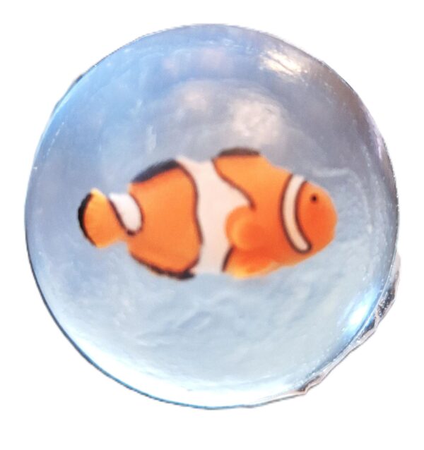 A fish is swimming in the water.