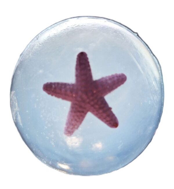 A star fish is shown in the water.