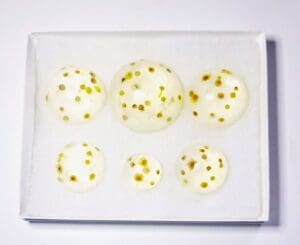 White stones with yellow spots in box.