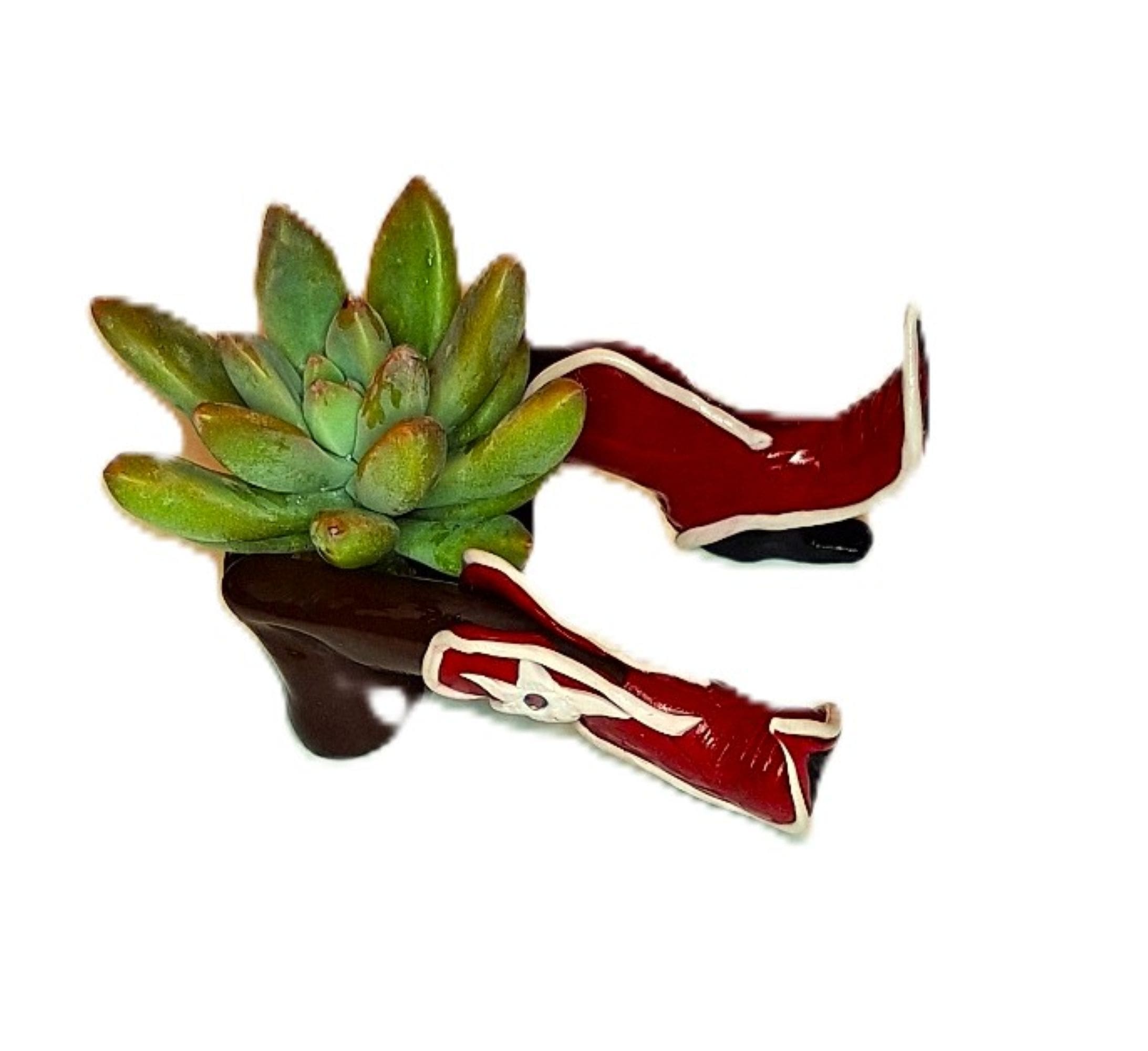 Southwest Whimsical Desk Planter with Succulent. - Image 4