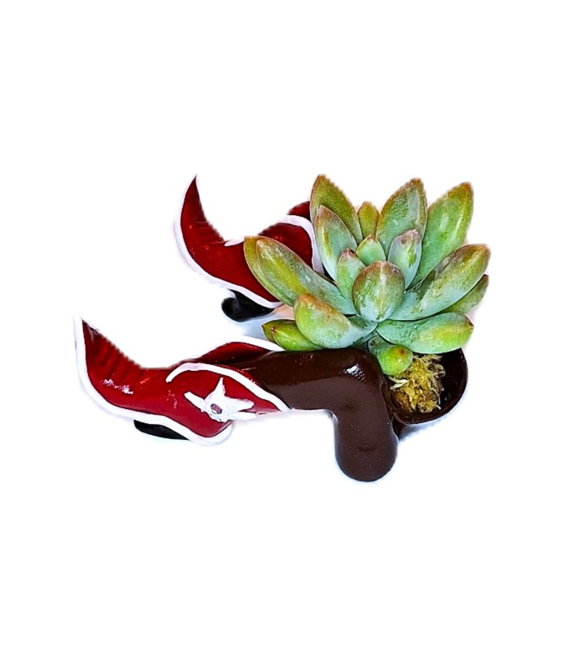 Southwest Whimsical Desk Planter with Succulent. - Image 7