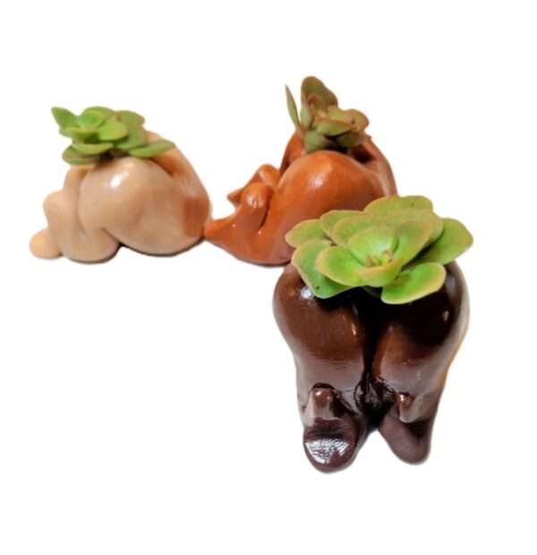 Three ceramic animals with green plants in them.