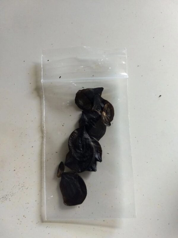 A bag of black garlic is sitting on the table.