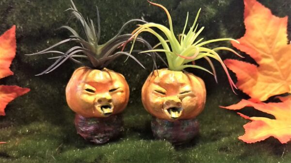Two ceramic planters with plants in them on a grass covered ground.