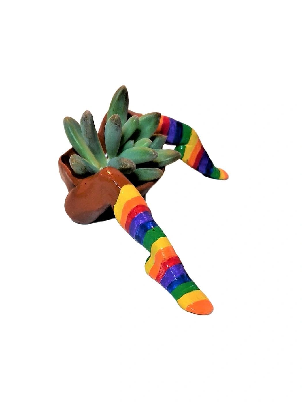 A plant with rainbow socks on it.