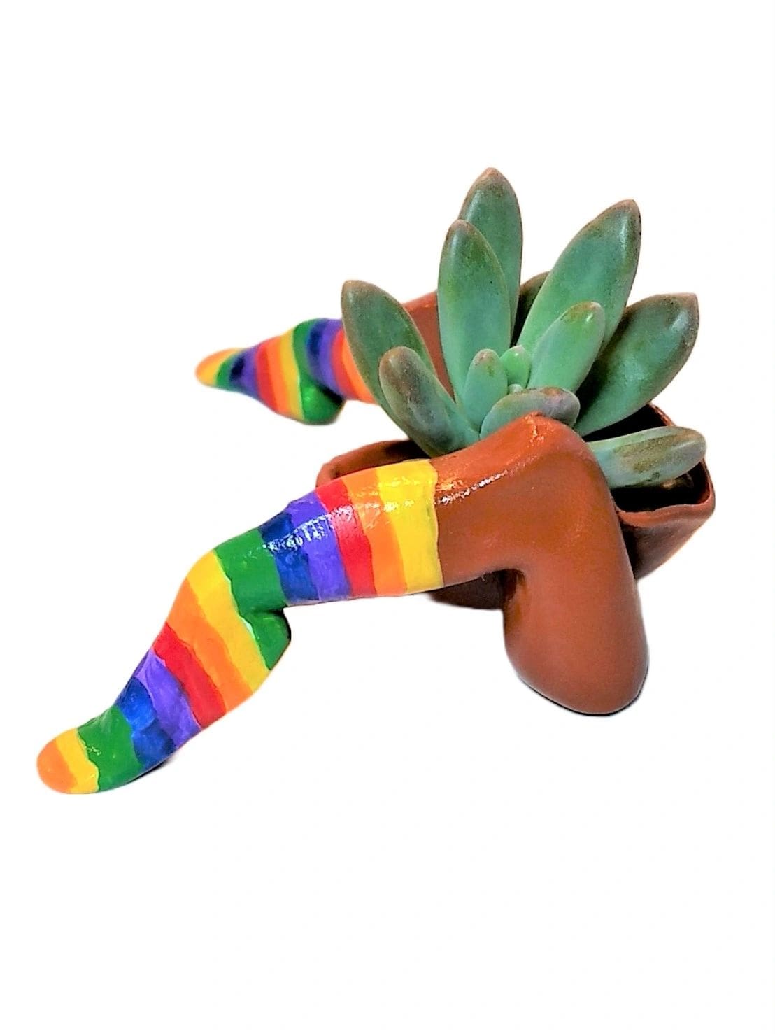 A plant in a pot with rainbow socks on it.
