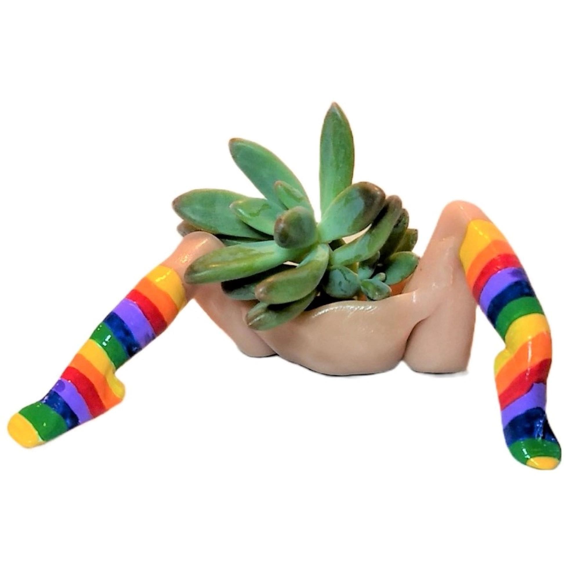 A plant in the shape of legs with rainbow socks on.