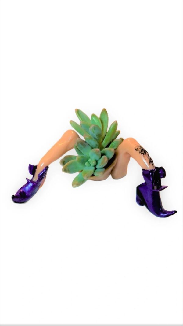 A pair of purple shoes and a plant in a pot.