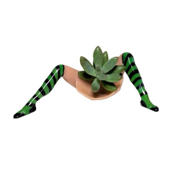 A person with green and black striped stockings holding a plant.
