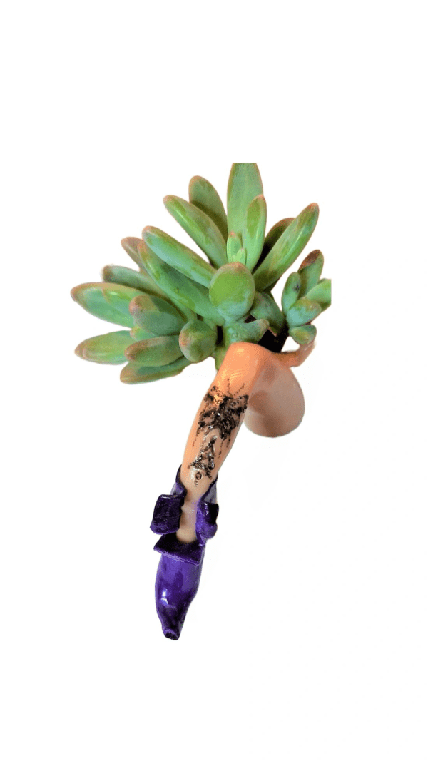 A plant with a purple flower in it