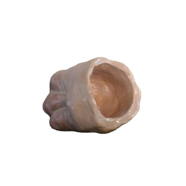 A clay sculpture of a hand with a face.