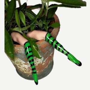 A hand holding two green and black striped sticks in a pot.