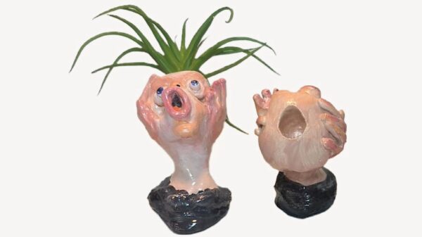 A pair of ceramic planters with plants in them.