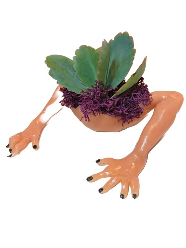 A plastic hand with long arms and legs holding a plant.
