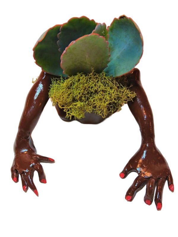 A brown hand holding a plant with moss on it.