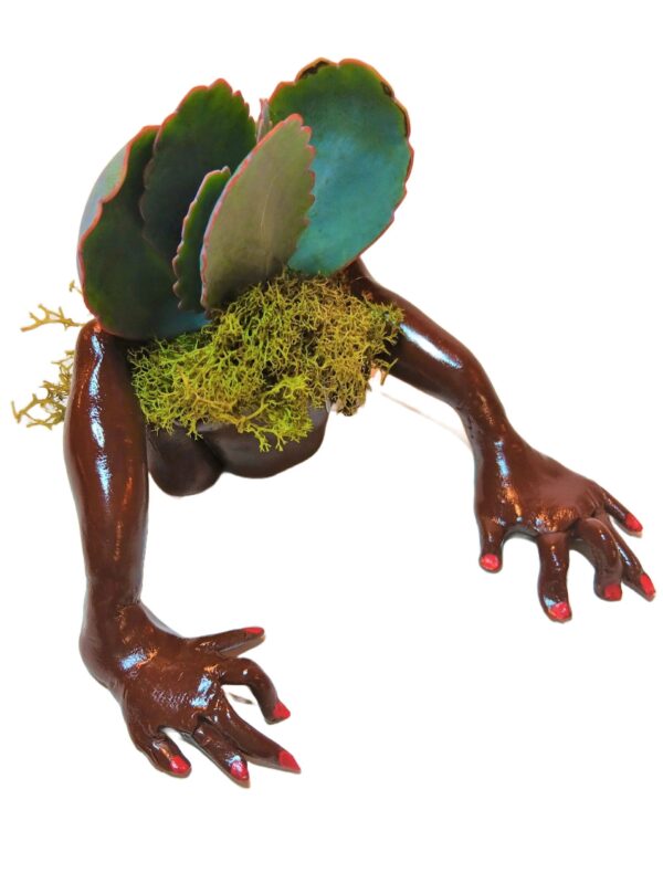 A brown frog with red nails and some green plants