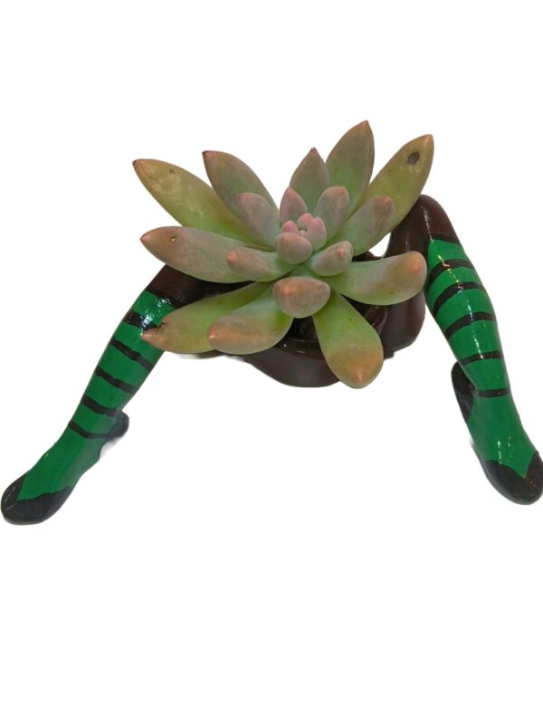 A green lizard with a plant in it's mouth.