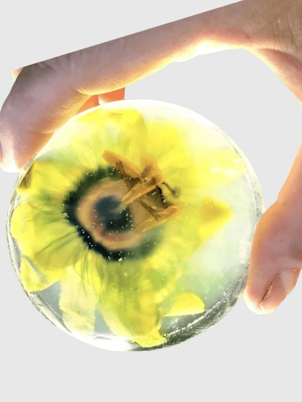 A person holding a flower in front of their face.