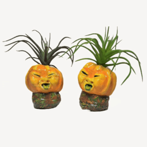 Two plants in a pumpkin head planter.