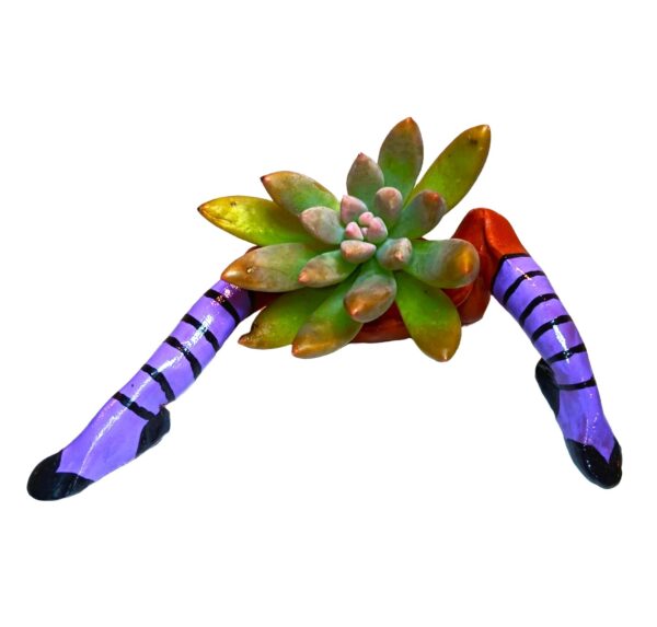 A plant with purple legs and feet on top of it.