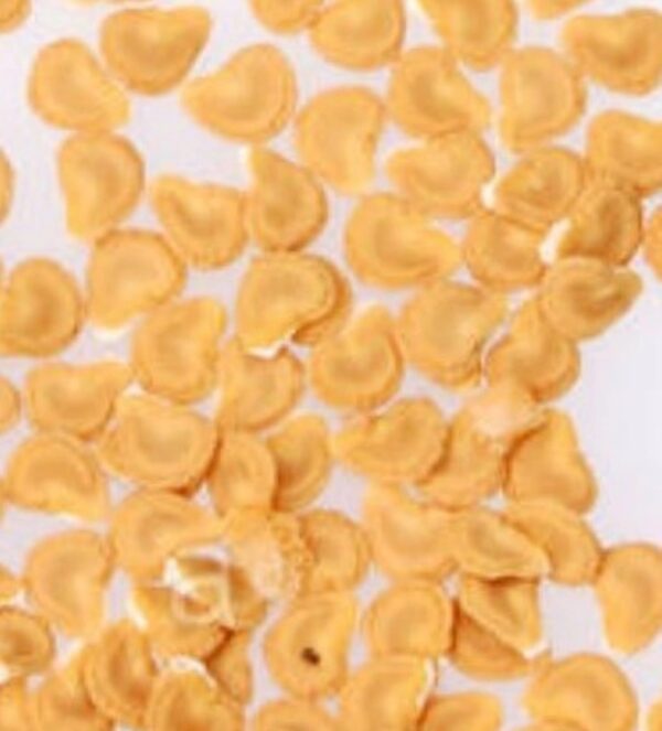 A close up of some pasta shells on the table