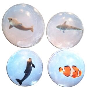 Sea Animal Hand & Bath Soaps Clear Glycerin Set of 4 Vegan, Clown Fish, Gluten-Free. (Copy)